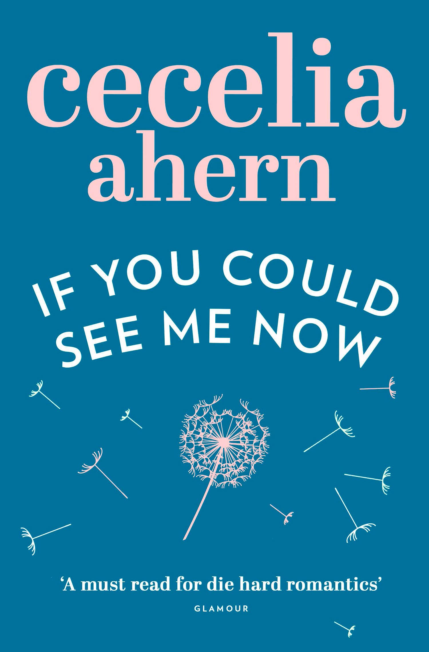 If You Could See Me Now by Cecelia Ahern - 9780007260812 - Book Cover