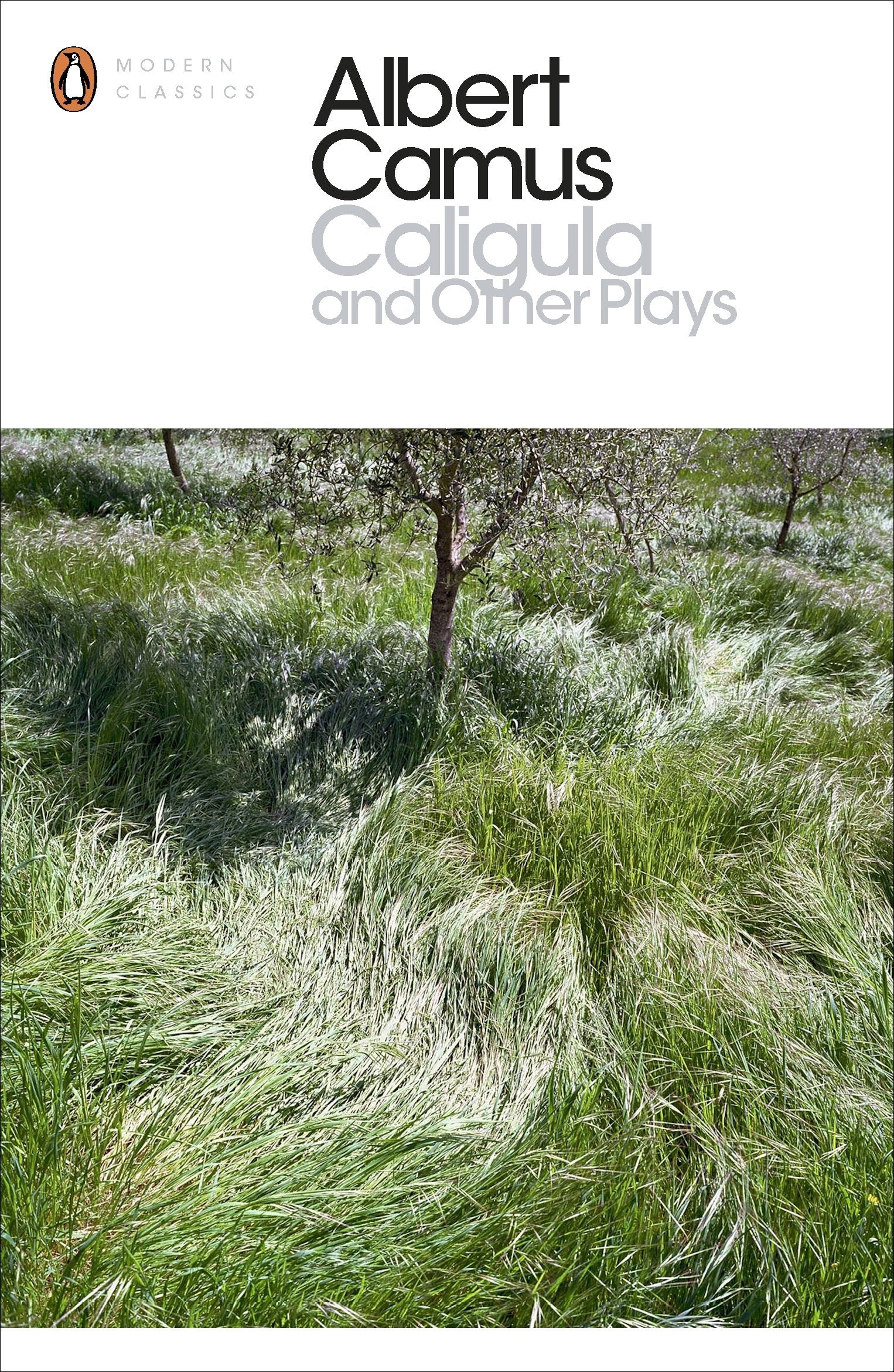 Caligula and Other Plays by Albert Camus - 9780141188706 - Book Cover