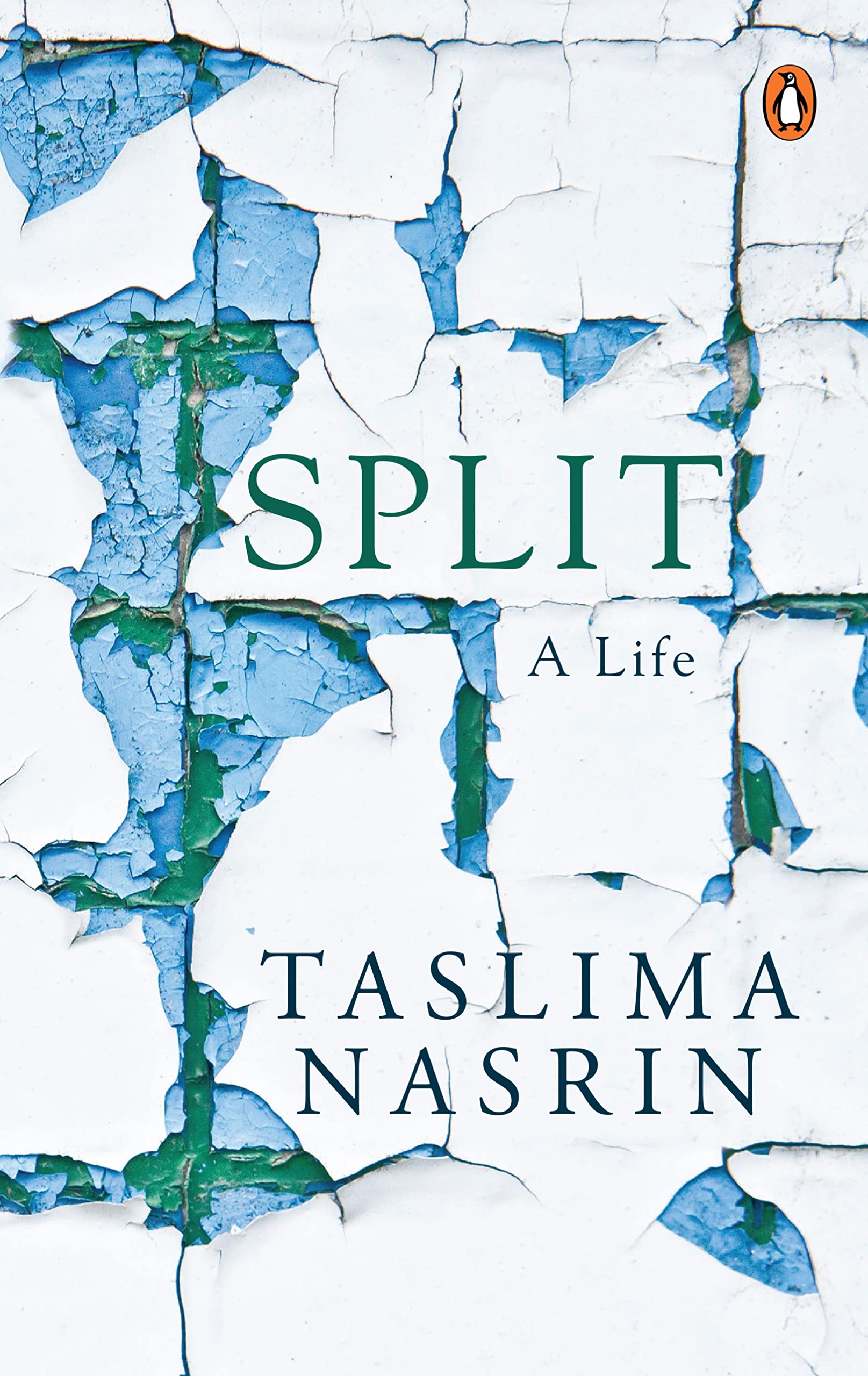 Split: A Life by Penguin Books India PVT, Limited - 9780143426530 - Book Cover