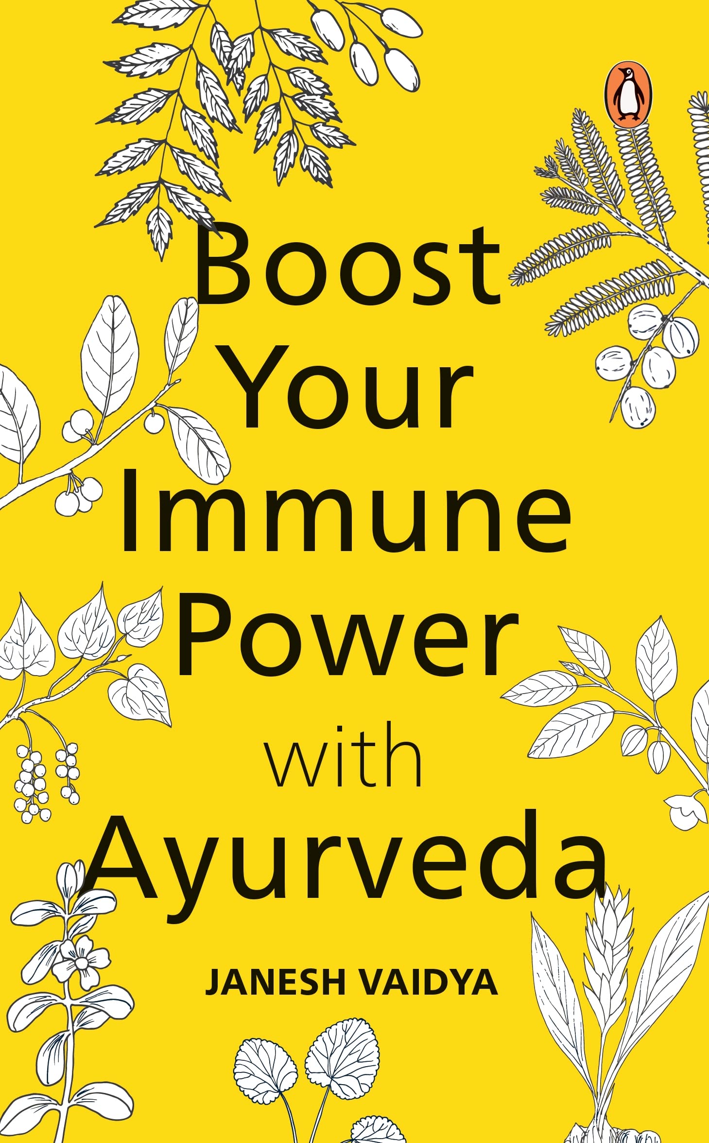 Boost Your Immune Power with Ayurveda by JANESH VAIDYA - 9780143453574 - Book Cover