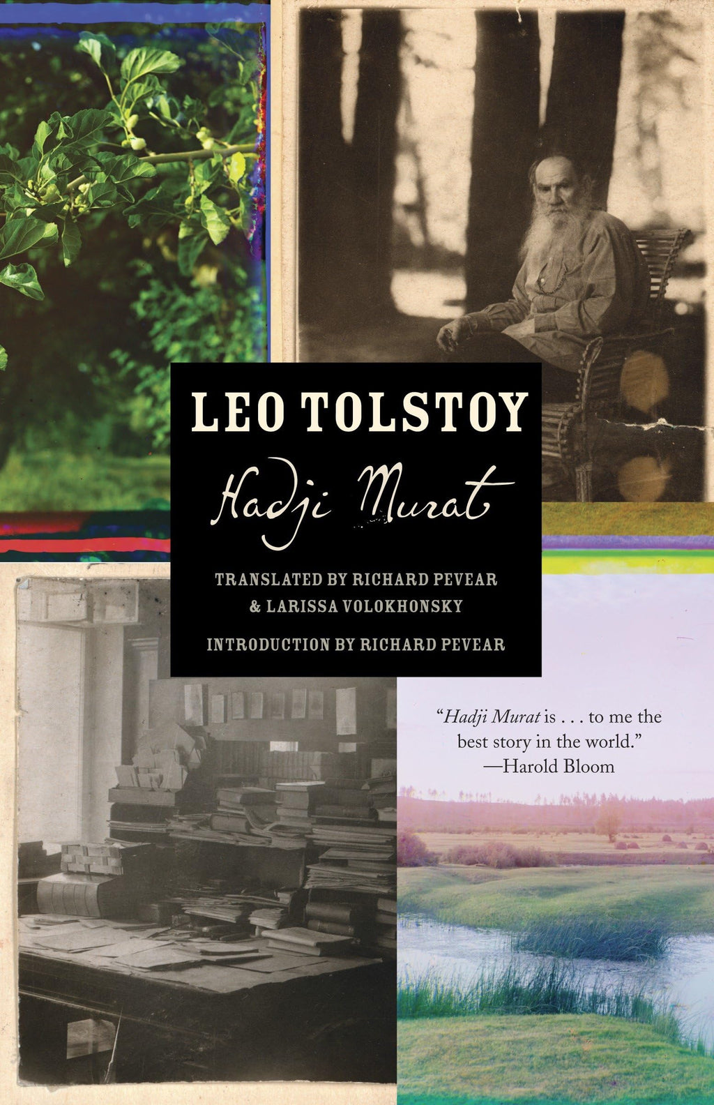 Hadji Murat by Leo Tolstoy