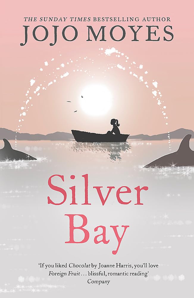 Silver Bay - 9780340895931 - Book Cover