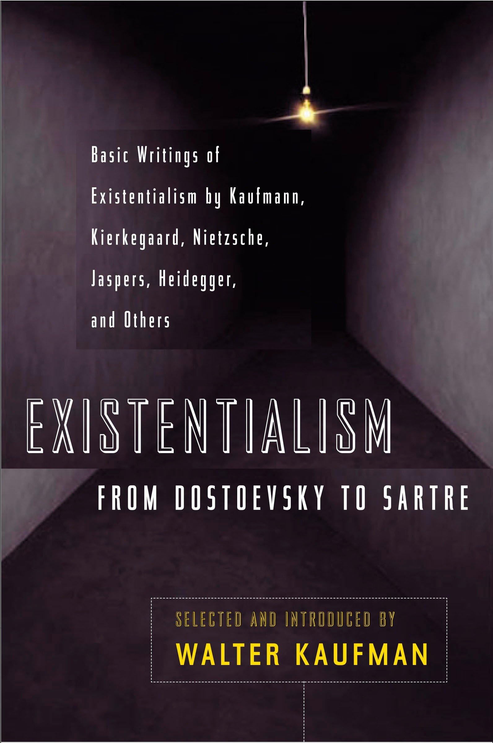 Existentialism from Dostoevsky to Sartre by Walter Kaufmann - 9780452009301 - Book Cover