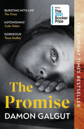 The Promise by Damon Galgut - 9781529113877 - Book Cover