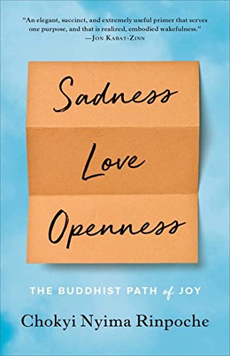 Sadness, Love, Openness Tbi Publisher