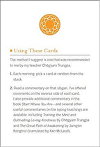 Pema Chödrön's Compassion Cards Cards Shambhala Boulder