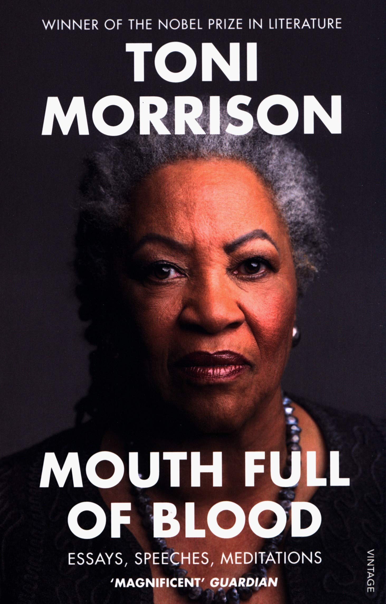 Mouth Full of Blood: Essays, Speeches, Meditations BIBLIONEPAL