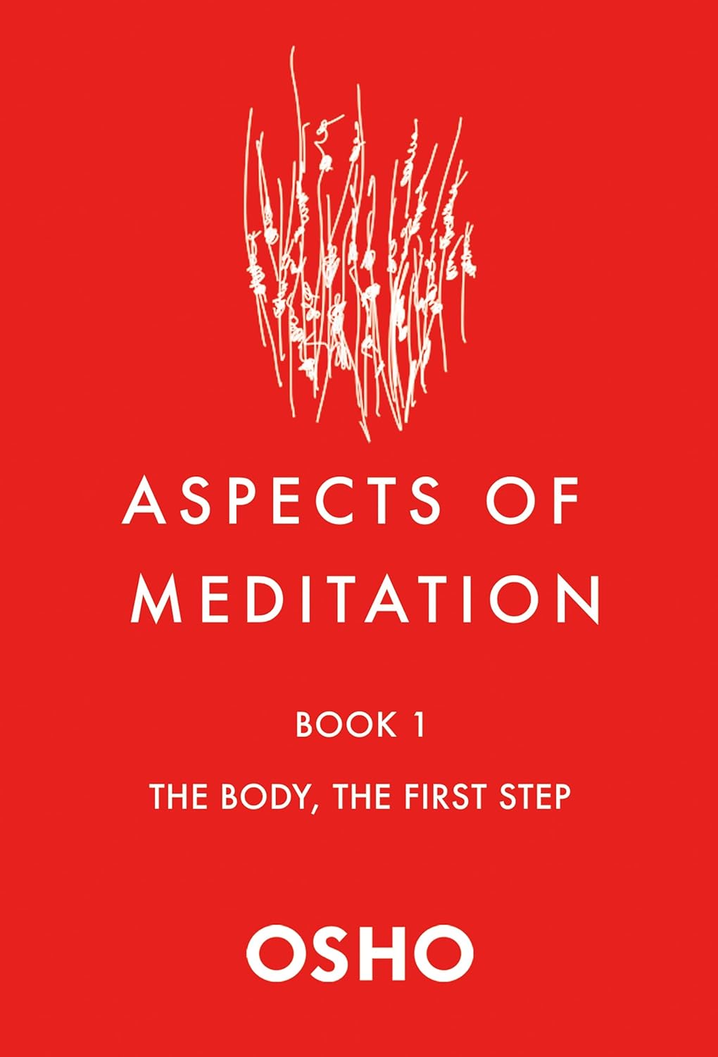 Aspects of Meditation Book St. Martin's Press Part 1
