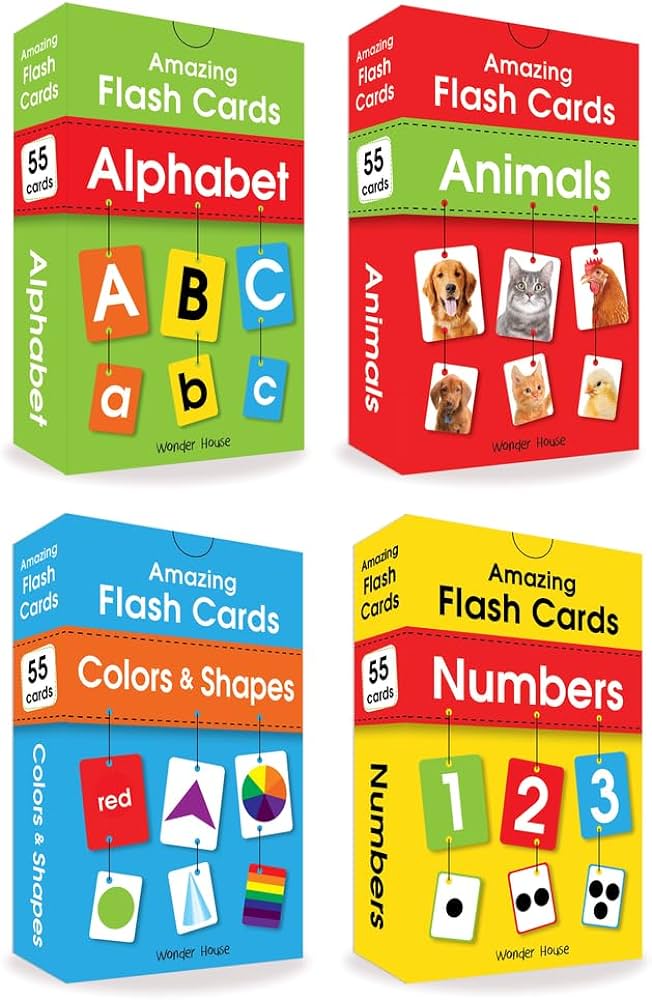 Amazing Flash Cards Set Of 4 Boxes Wonder House Books