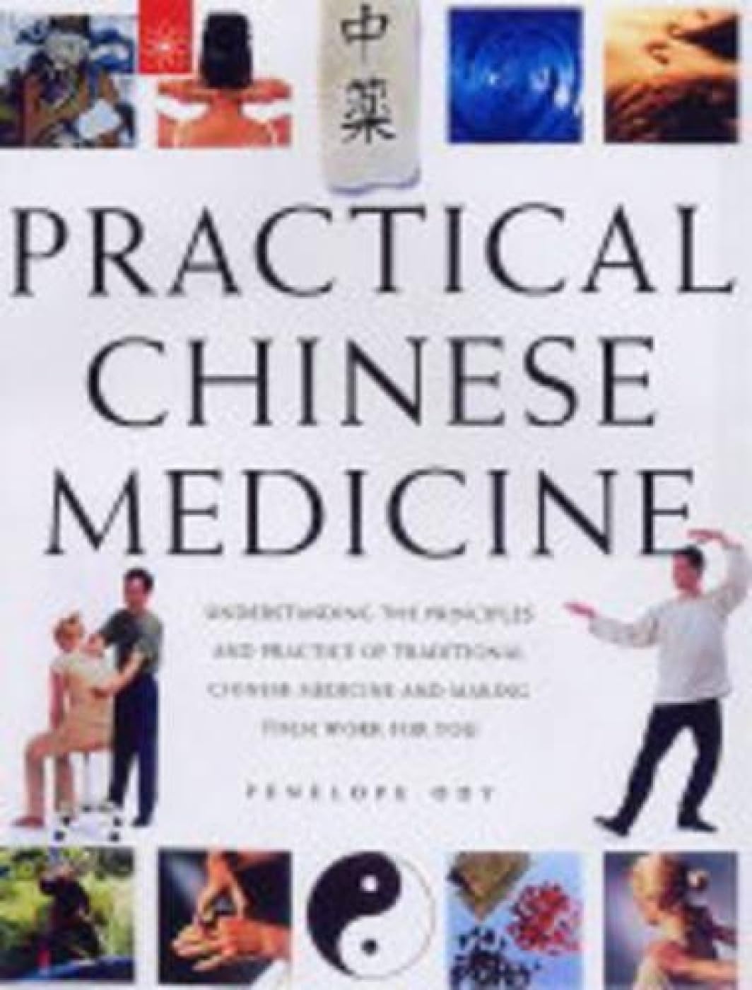 Practical Chinese Medicine by Penelope Ody