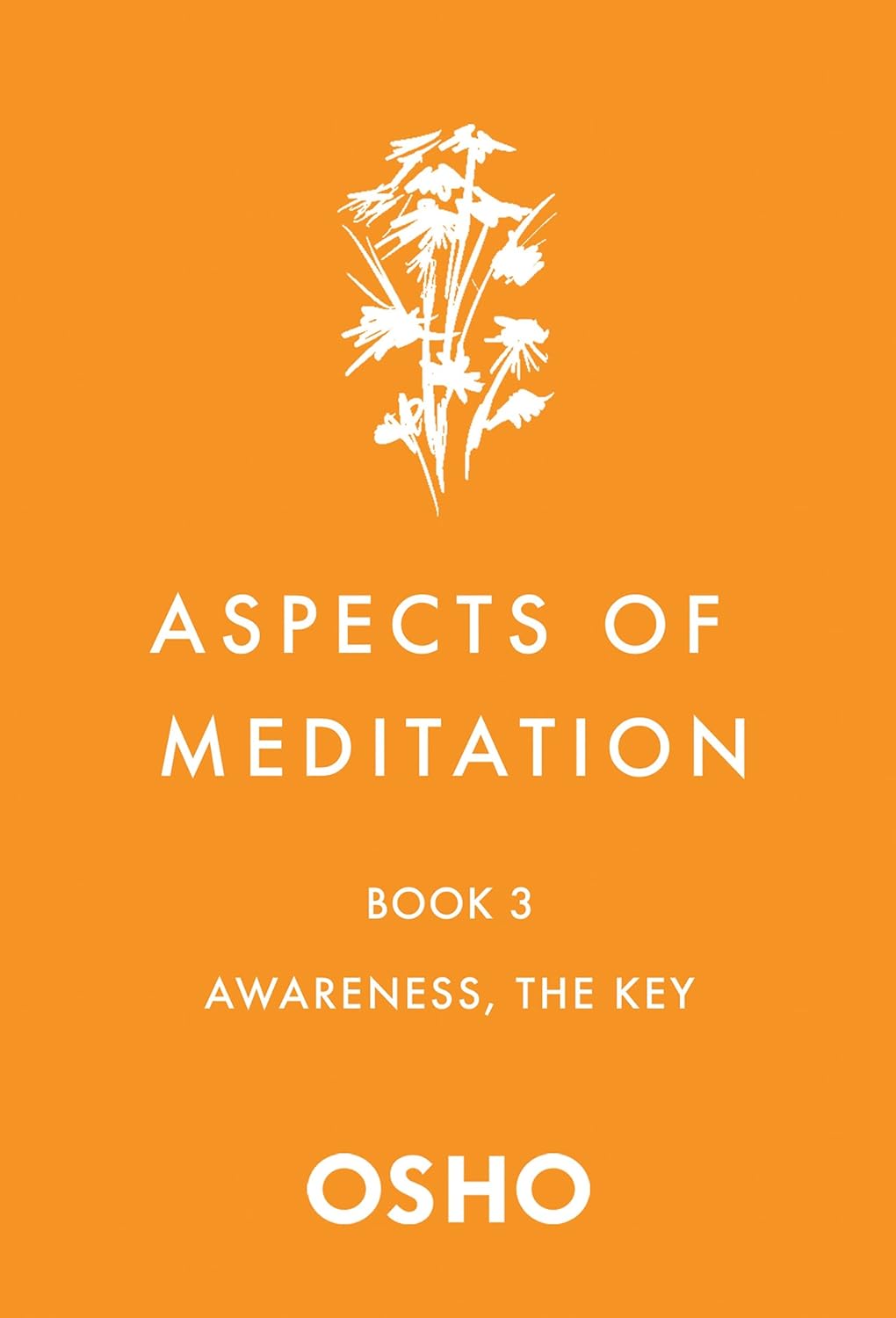 Aspects of Meditation Book St. Martin's Press Part 3