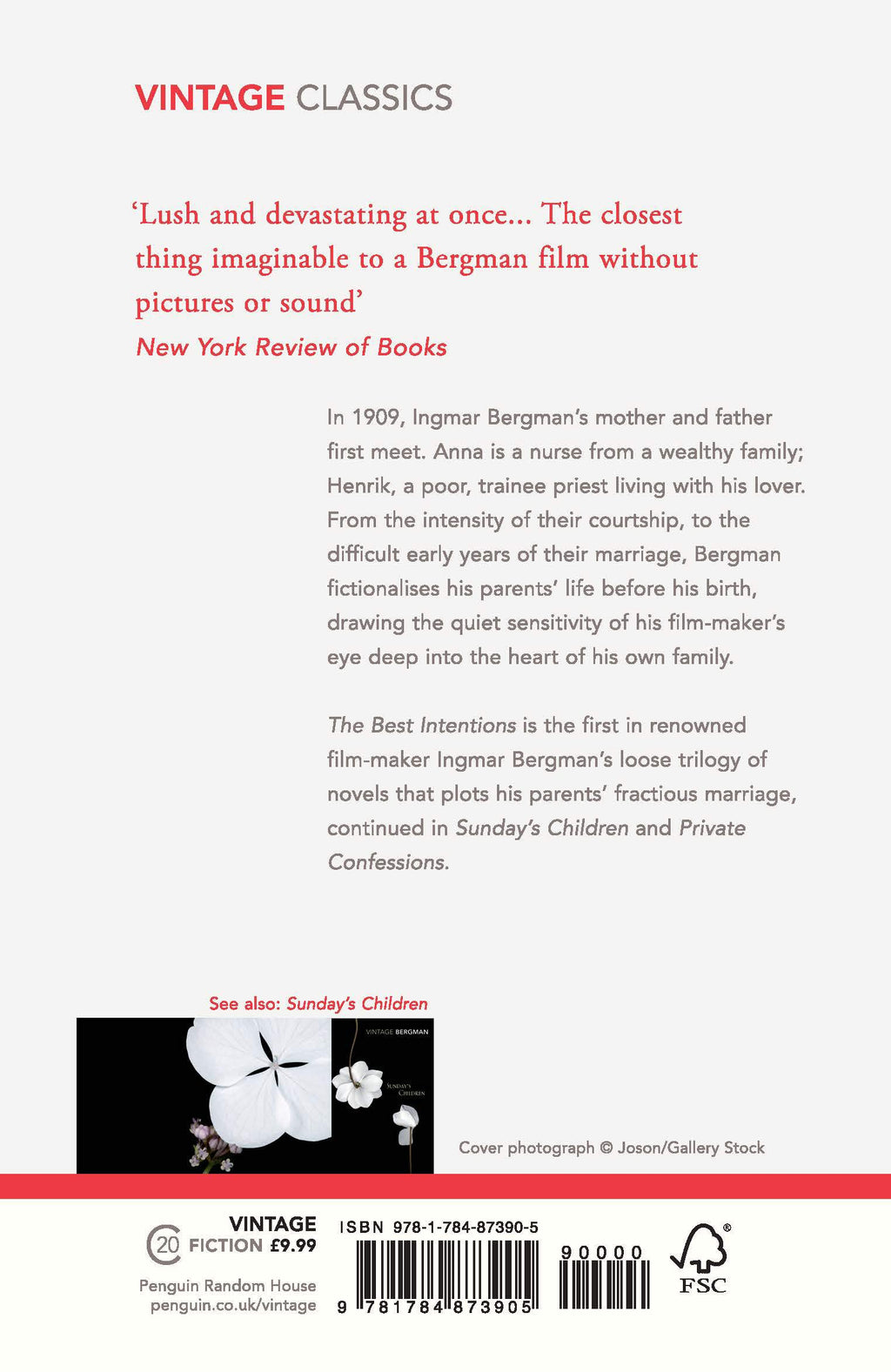 The Best Intentions BIBLIONEPAL