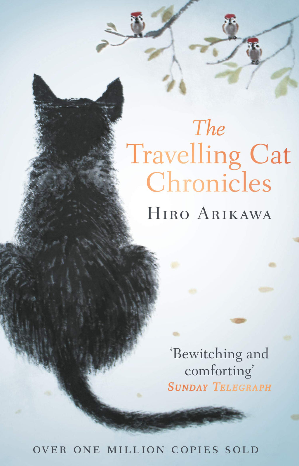 The Travelling Cat Chronicles Transworld Publishers