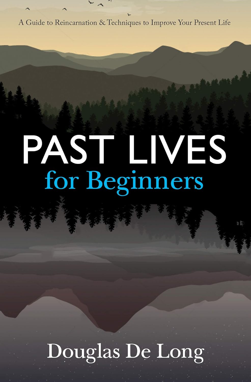 Past lives for beginners Manjul Publishing House