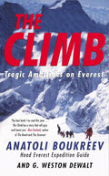 The Climb Pan MacMillan