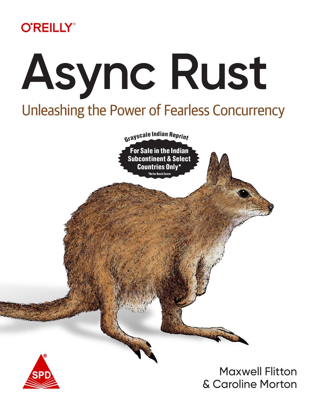 Async Rust O'Reilly Media