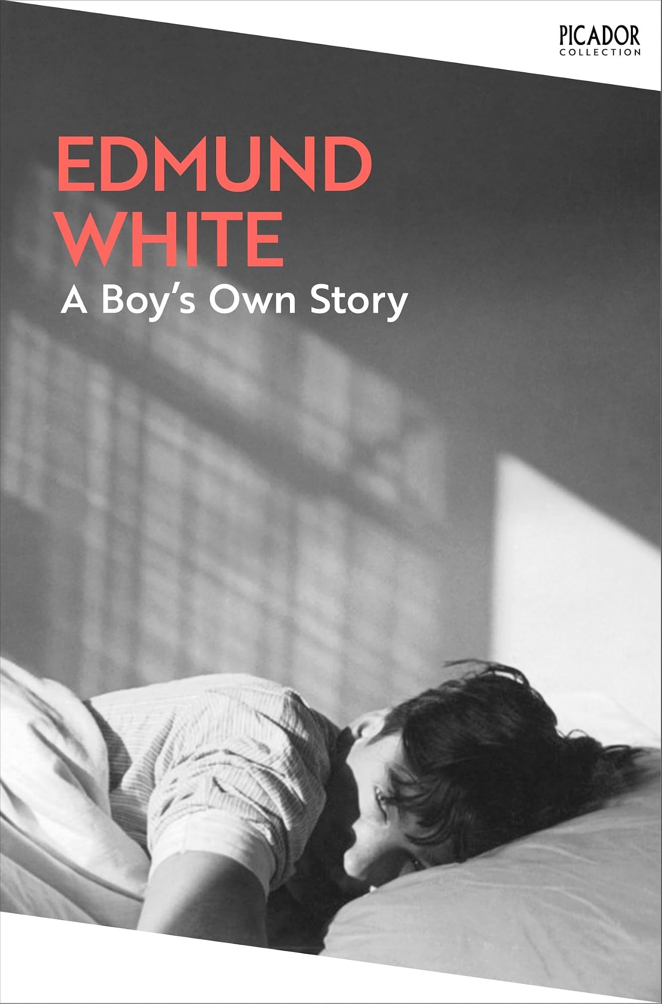 A Boy's Own Story by Edmund White