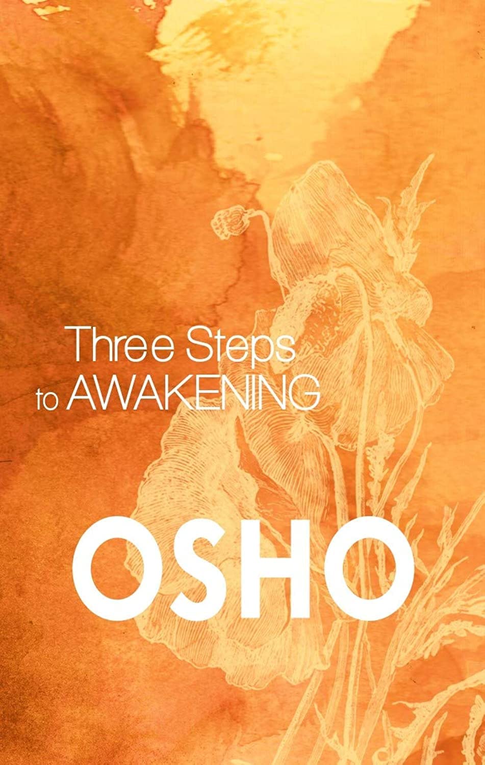 Three Steps to Awakening Shambhala
