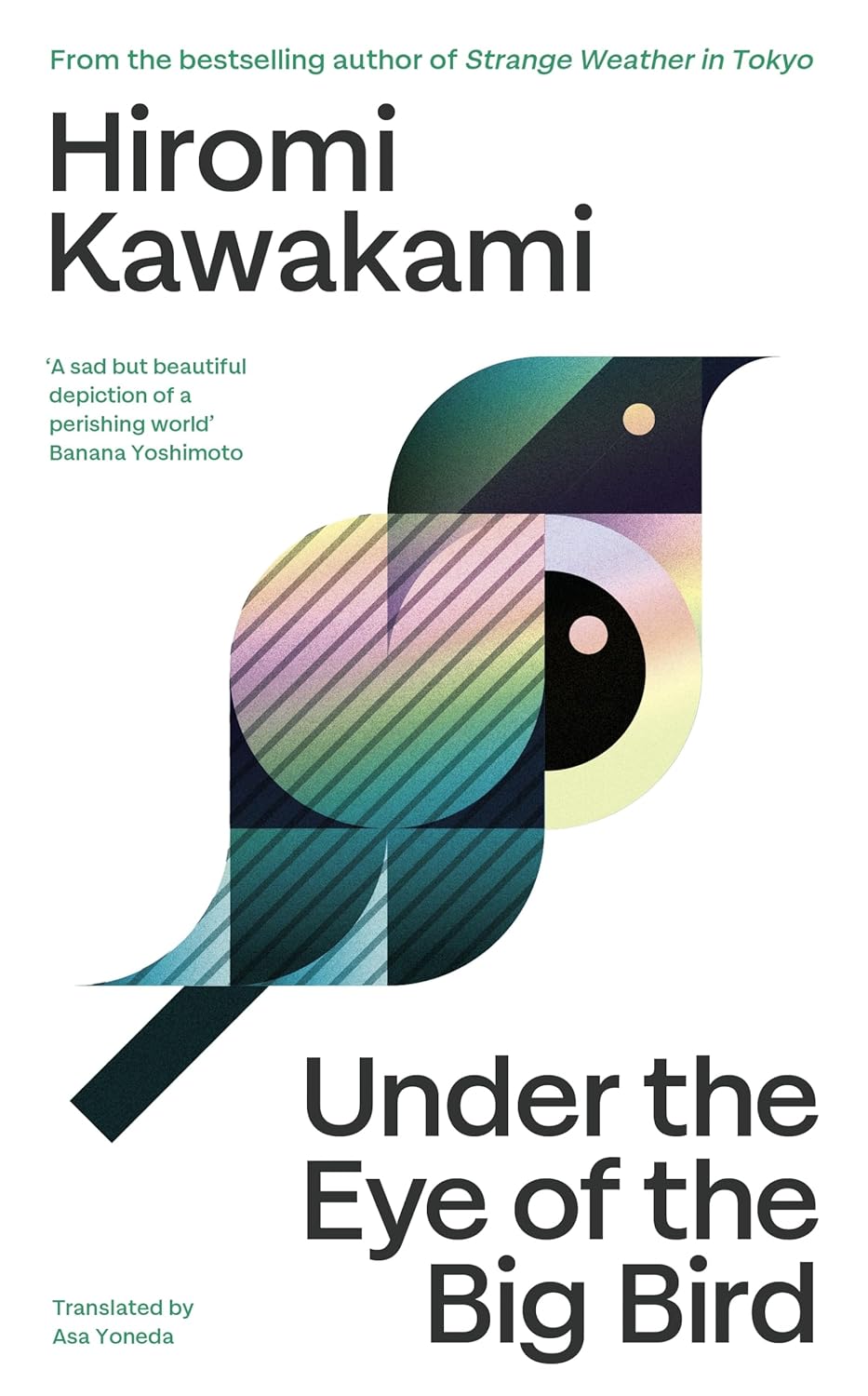 Under the Eye of the Big Bird Granta Publications