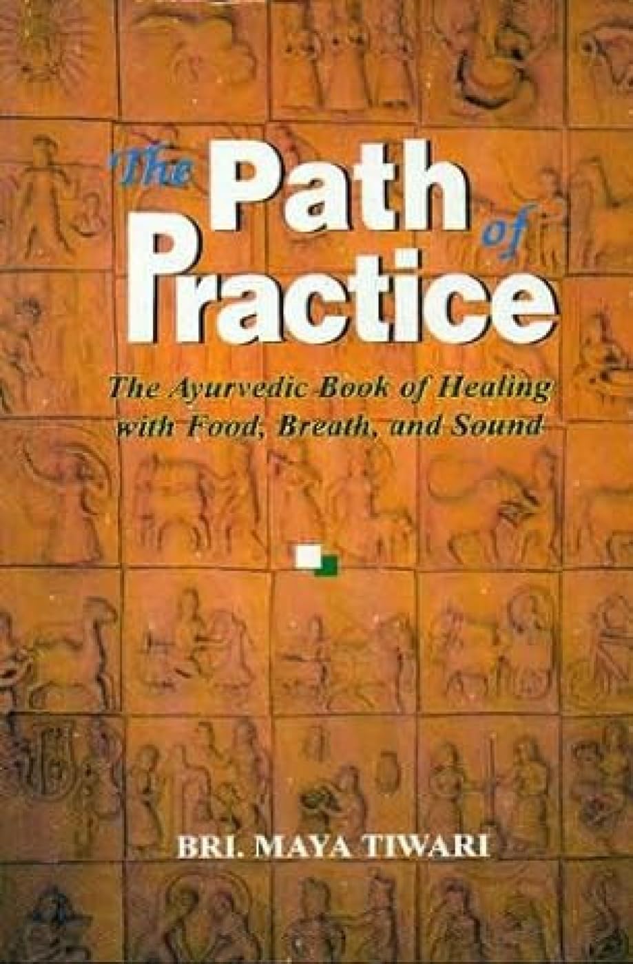 Path of Practice by Maya Tiwari