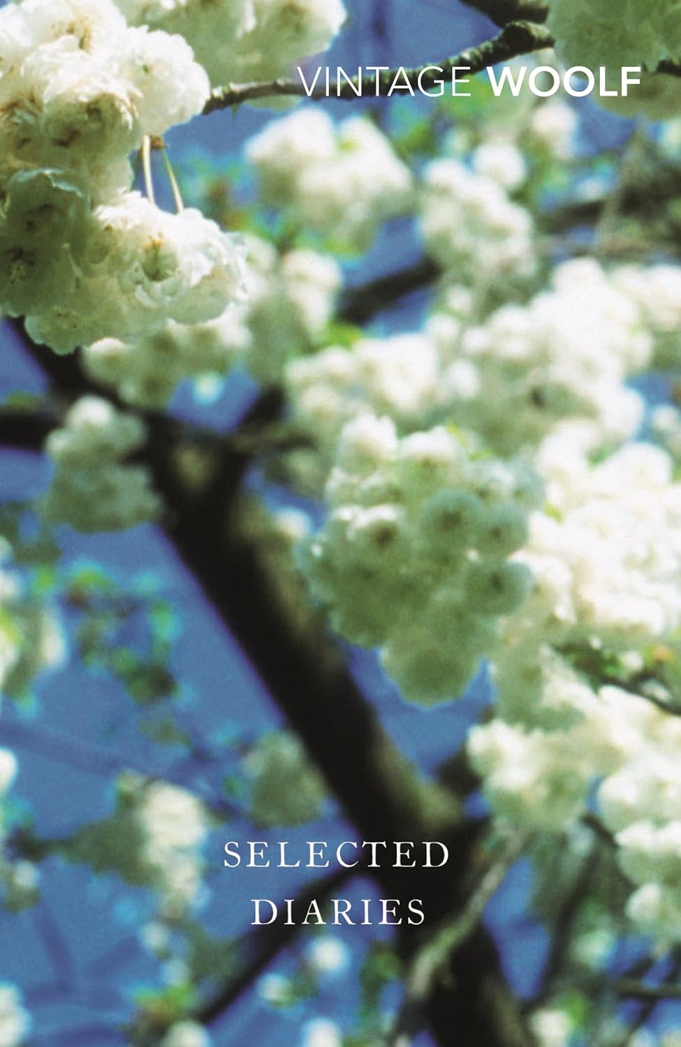 Selected Diaries Vintage