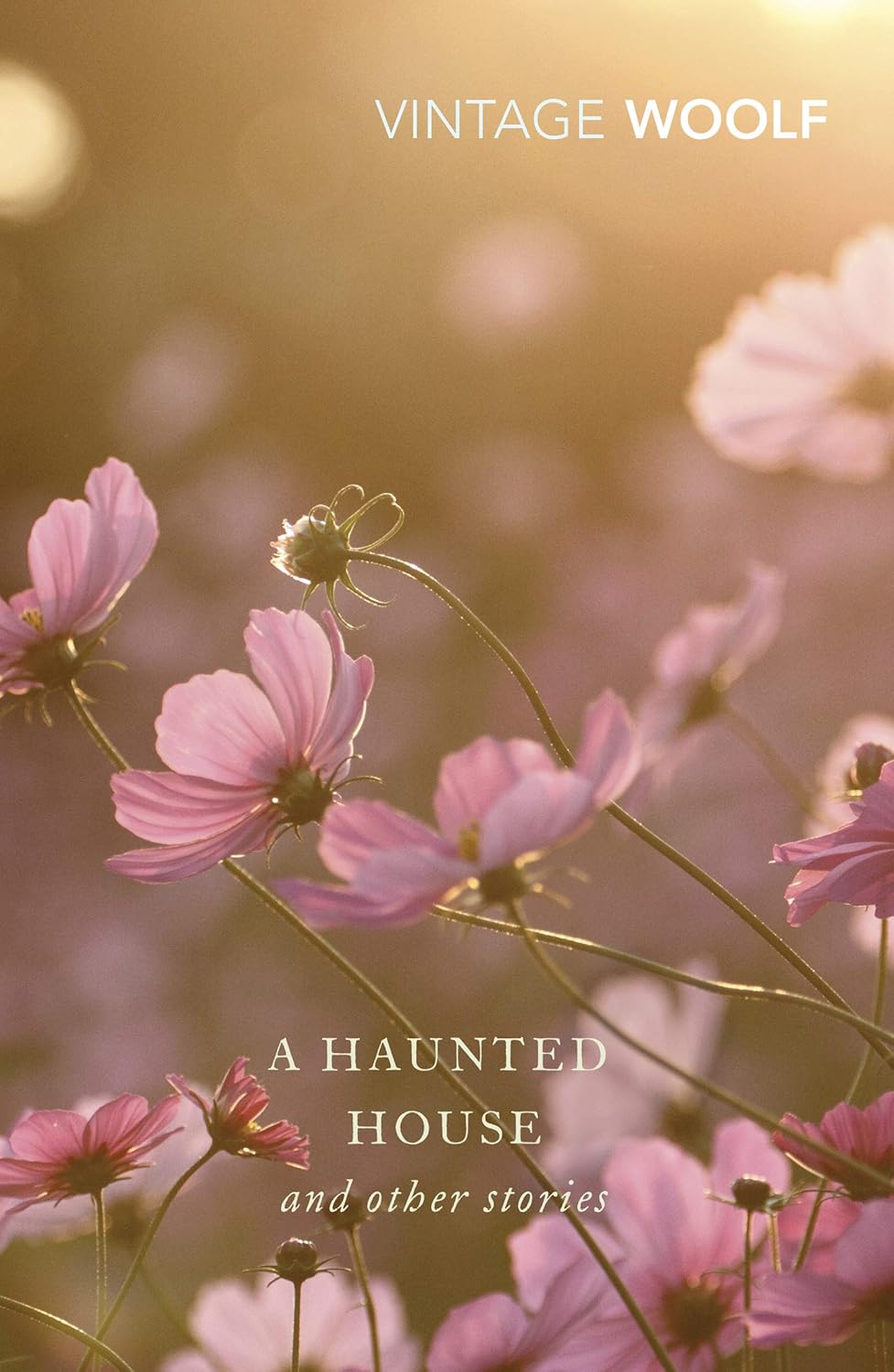 A Haunted House and Other Stories Vintage