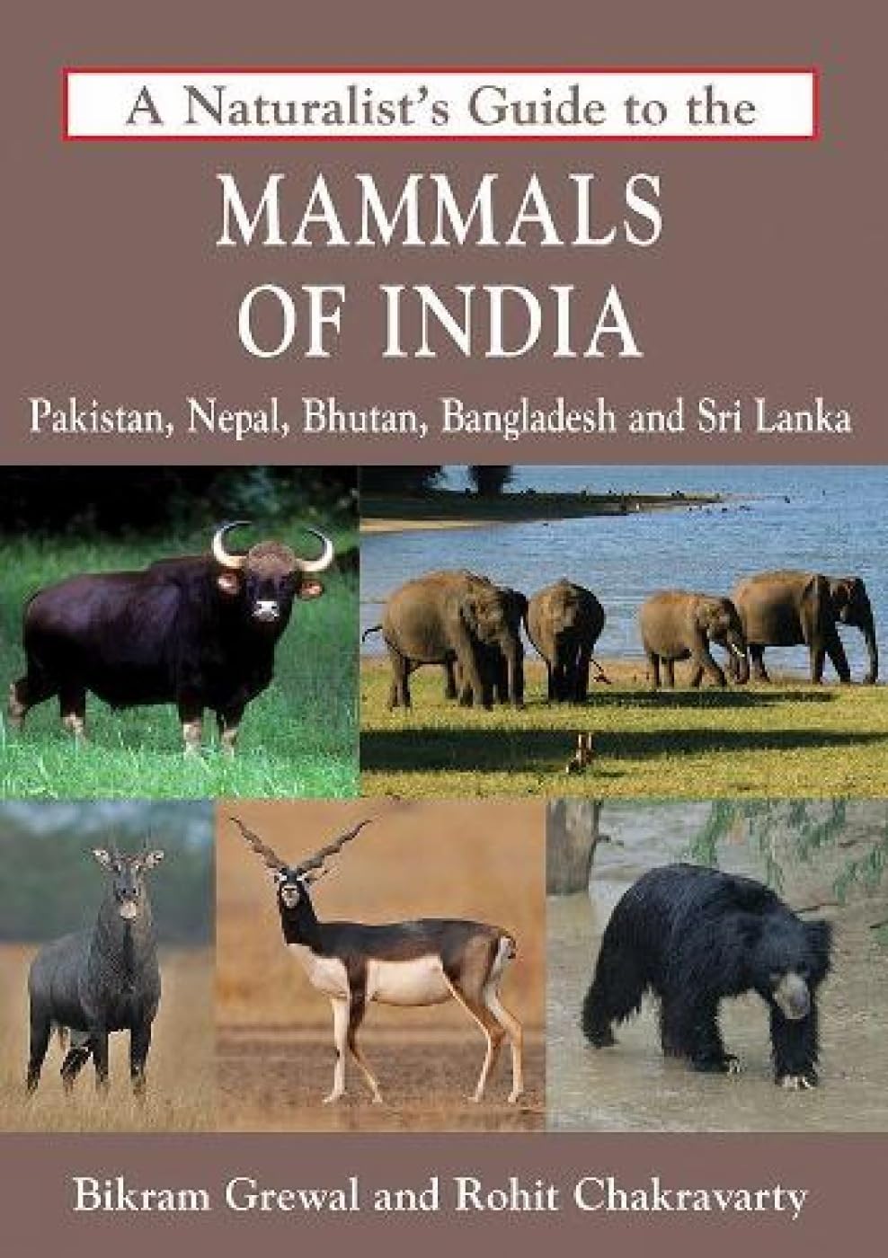 A Naturalists Guide to the Mammals of India by Rohit Chakravarty, Bikram Grewal - 9788175994072 - Book Cover