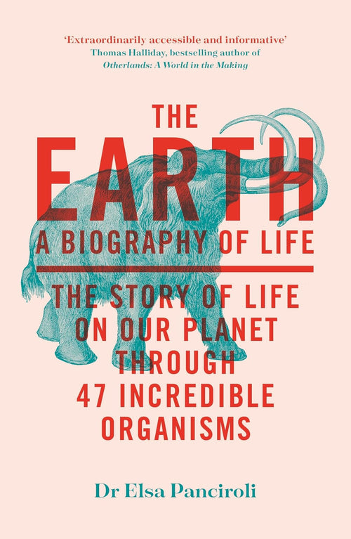 The Earth by Elsa Panciroli