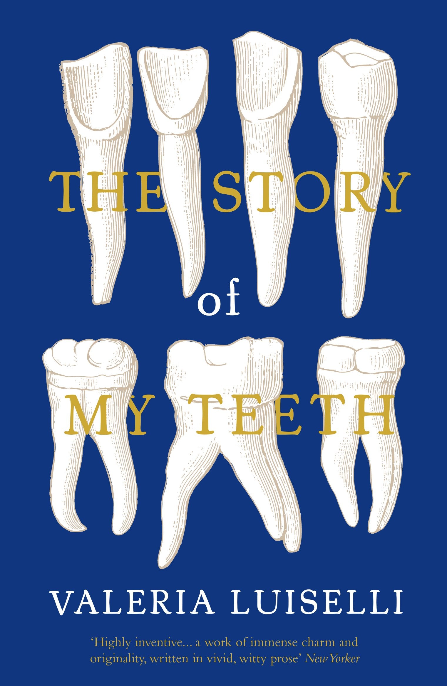 The Story of My Teeth BIBLIONEPAL