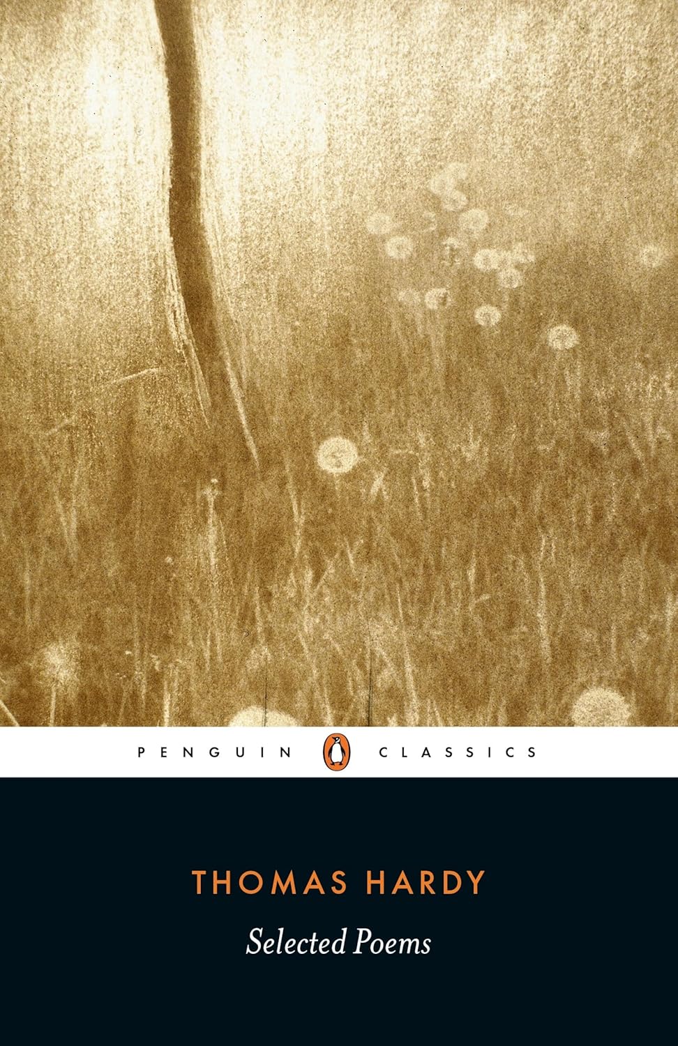 Selected Poems Penguin Classics