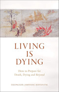 Living Is Dying Shambhala 9781569572191