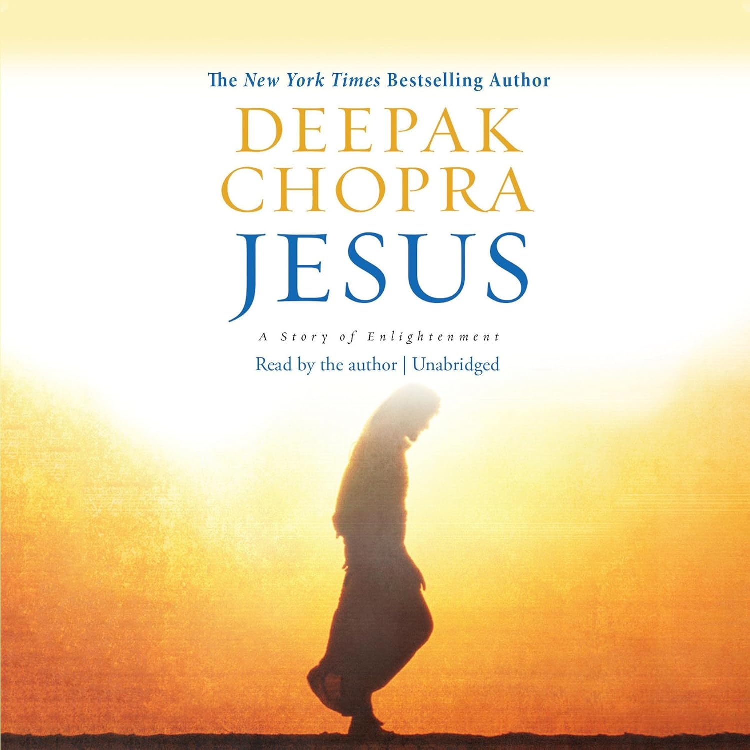 Jesus Jesus: The Story of Enlightenment Book - 9789351368144 - Book Cover