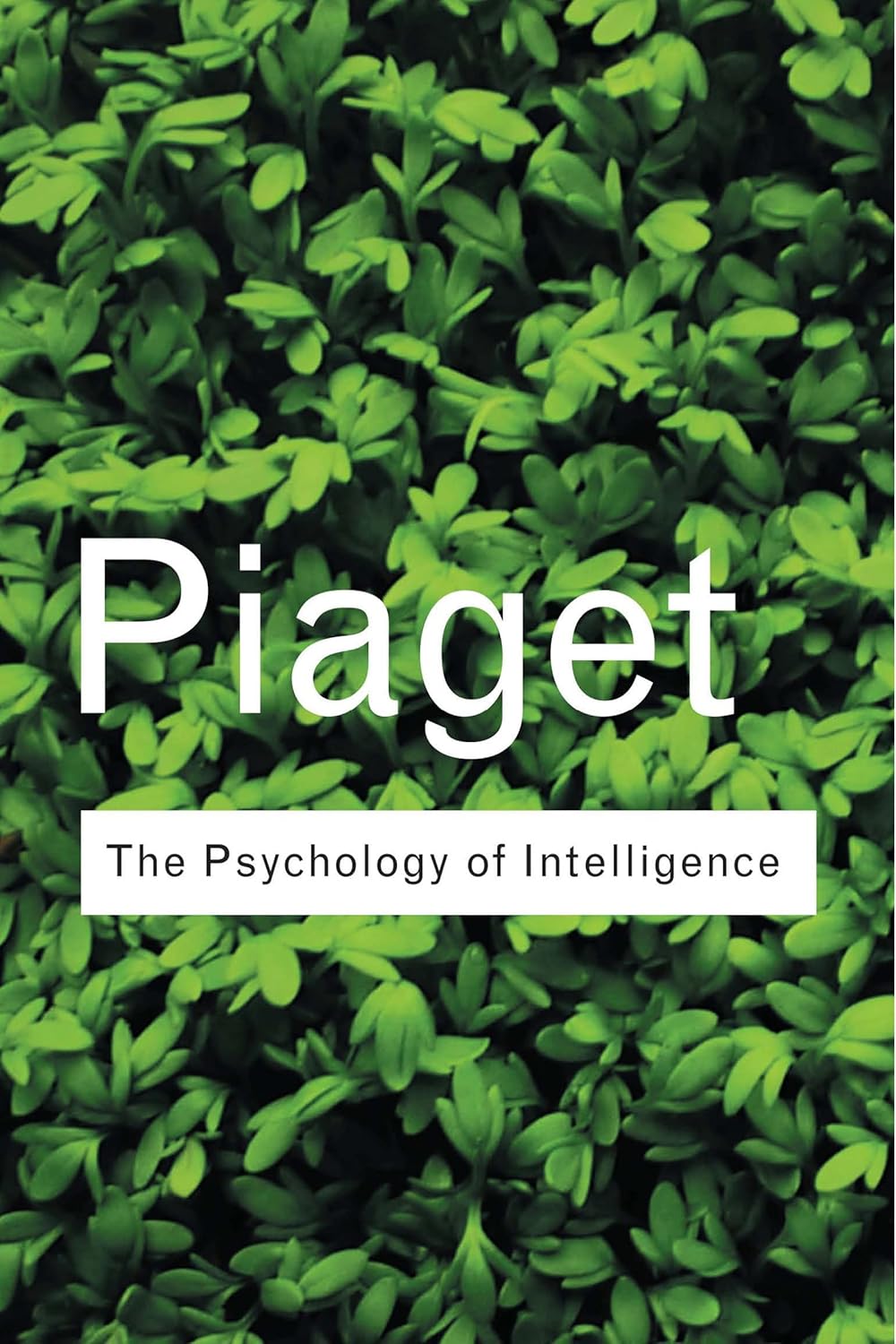 The Psychology of Intelligence Routledge Classics