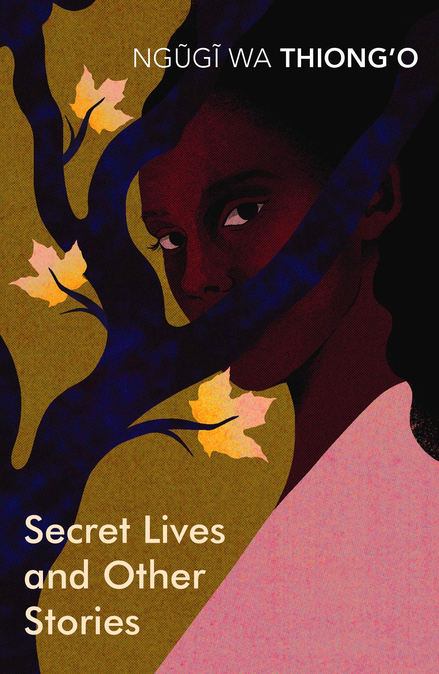 Secret Lives and Other Stories BIBLIONEPAL
