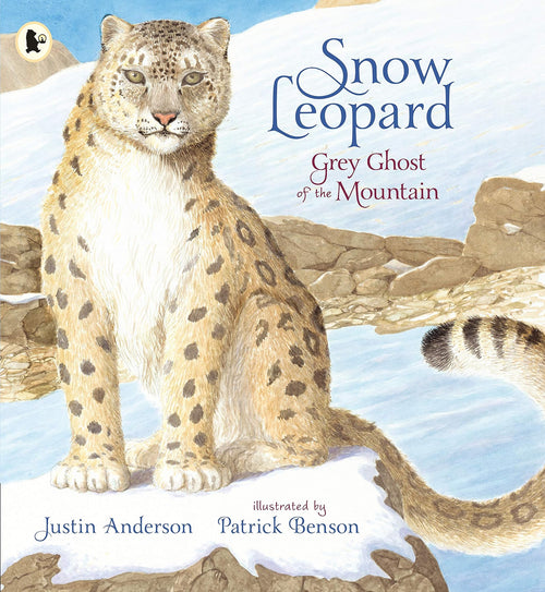 Snow Leopard by Justin Anderson