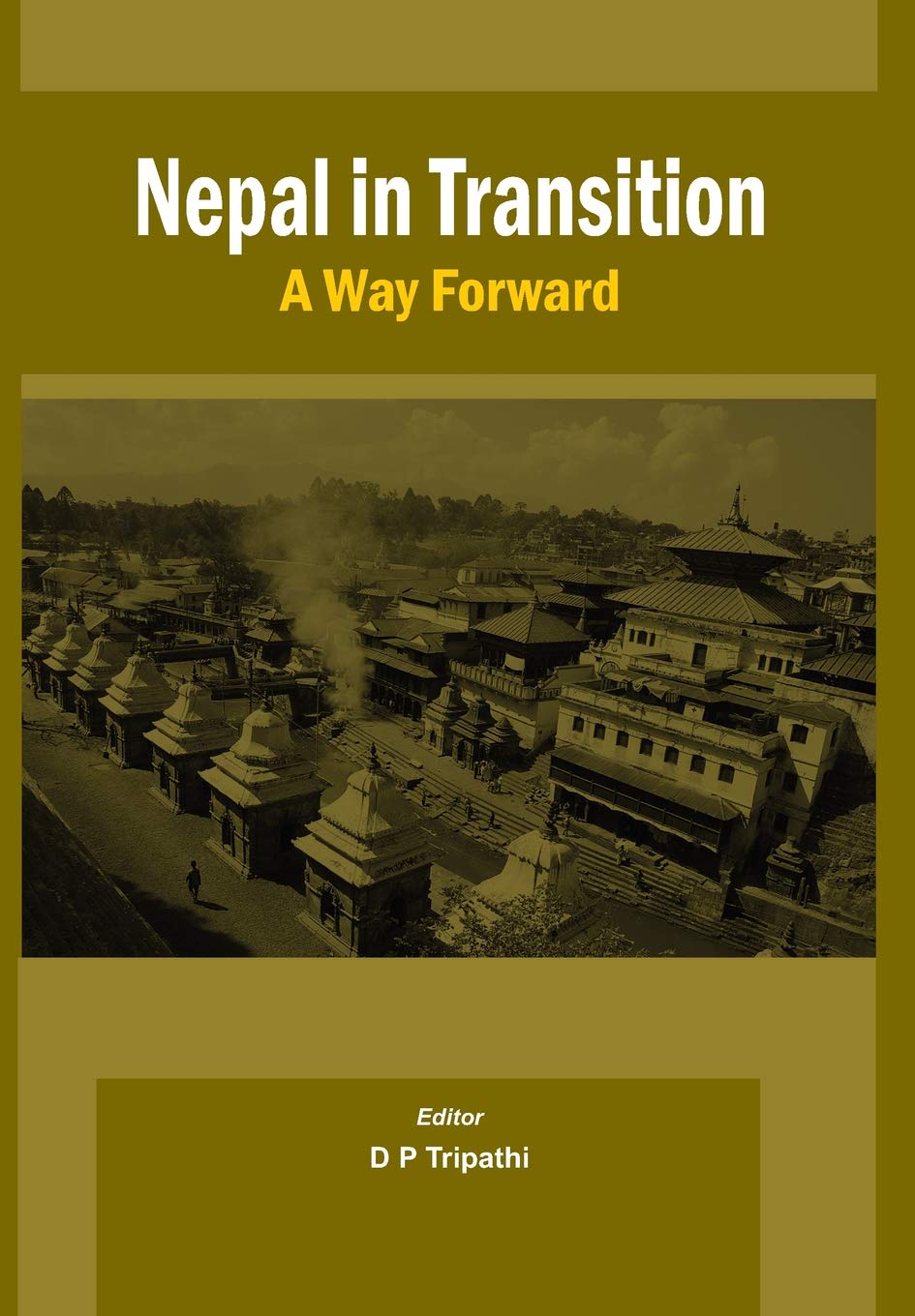 Nepal in Transition: A Way Forward by Devi Prasad Tripathi - 9789381411070 - Book Cover