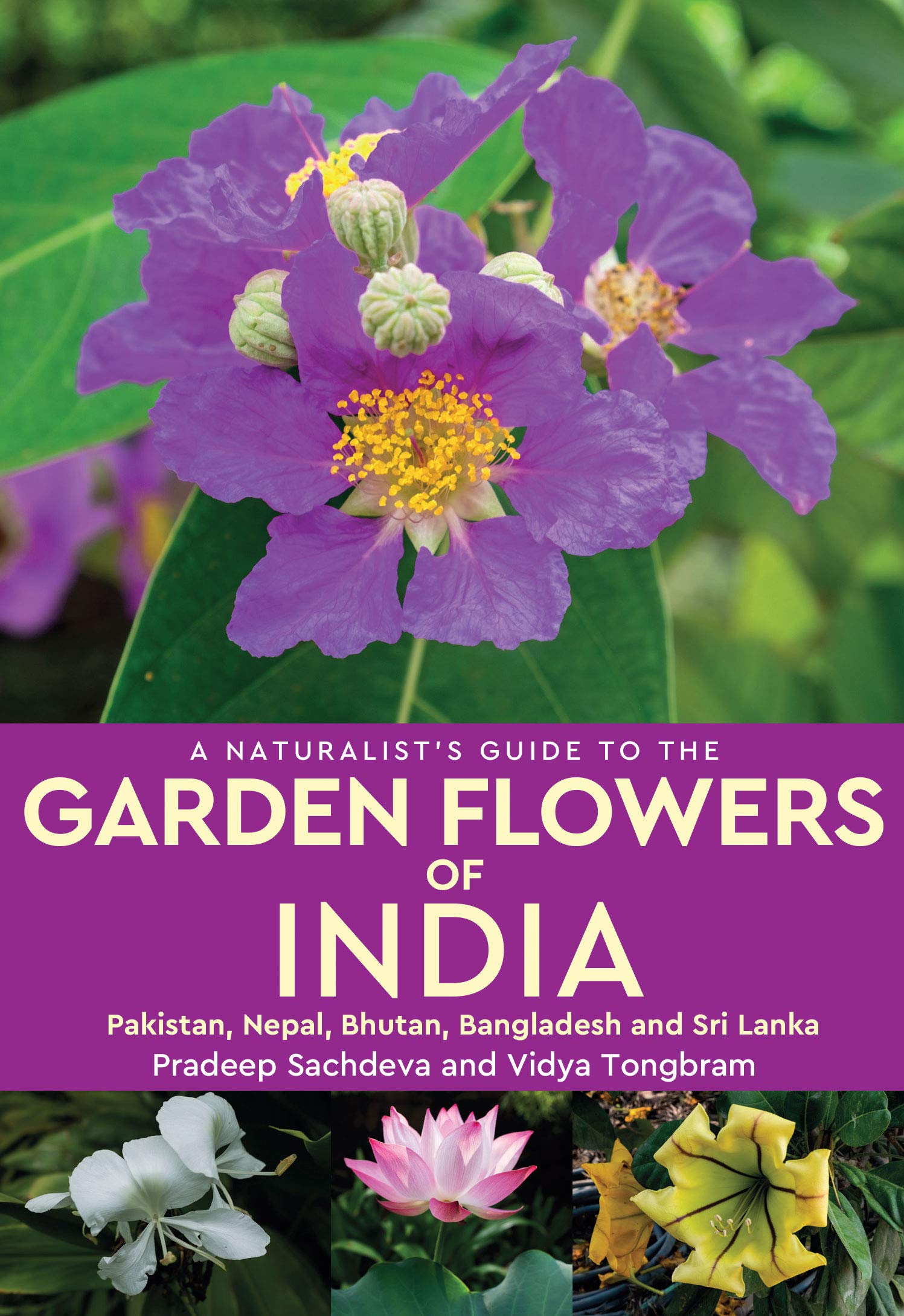 A Naturalist’s Guide to the Garden Flowers of India by Pradeep Sachdeva - 9789389178432 - Book Cover