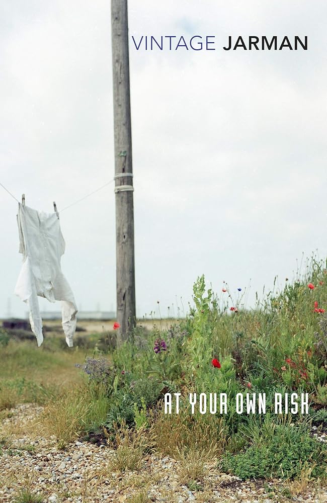 At Your Own Risk cover image