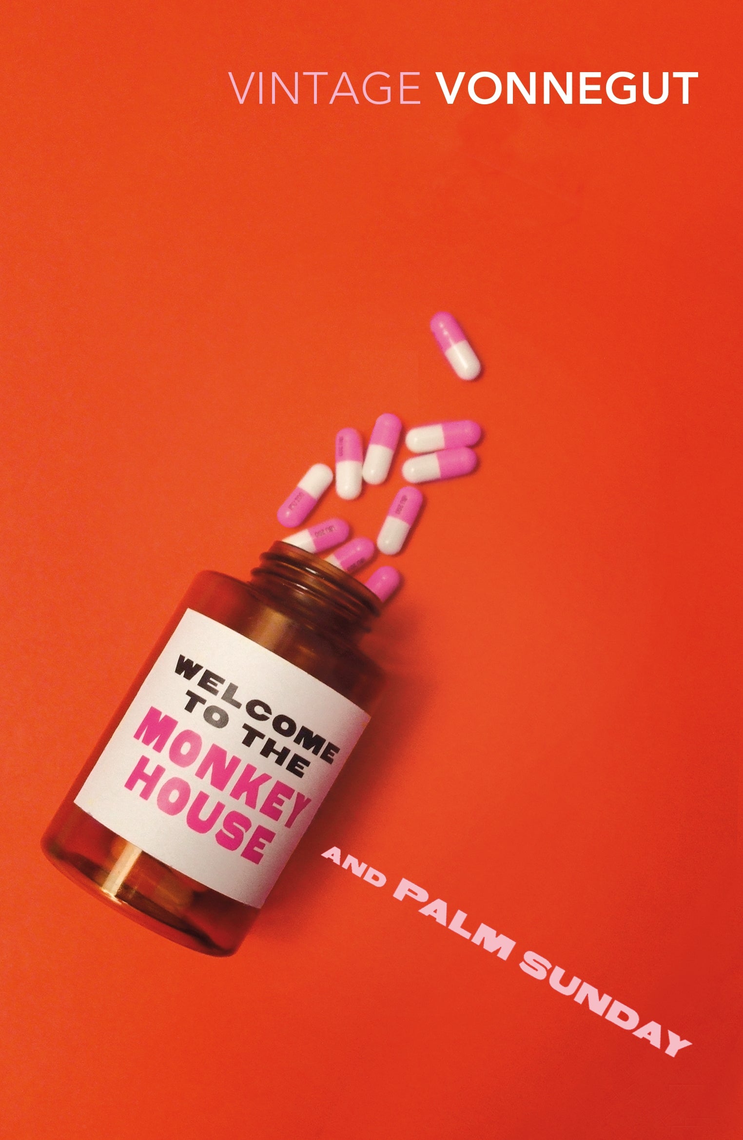 Welcome to the Monkey House and Palm Sunday BIBLIONEPAL