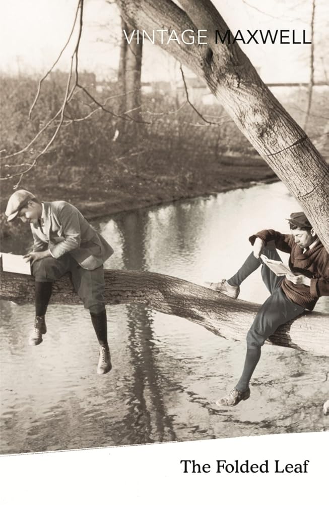 The Folded Leaf cover image