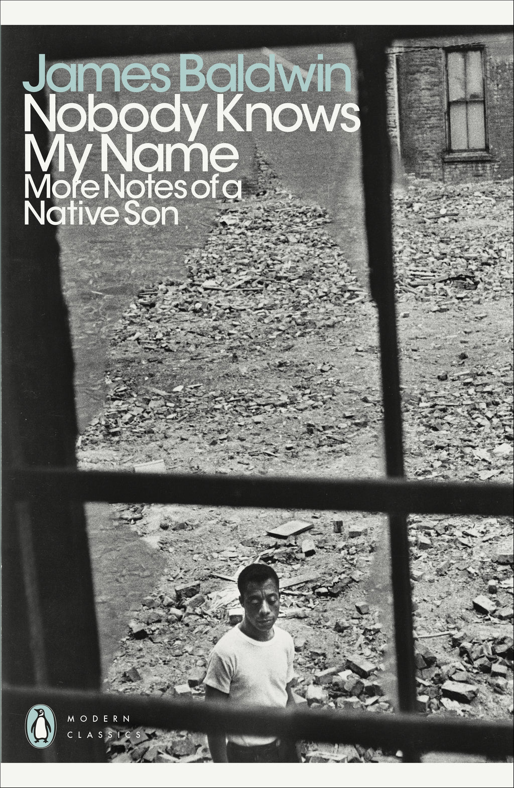 Nobody Knows My Name - 9780140184471 - Book Cover