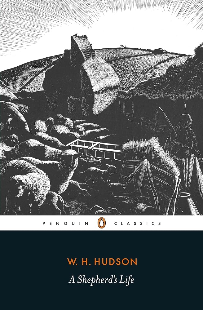 A Shepherd's Life cover image
