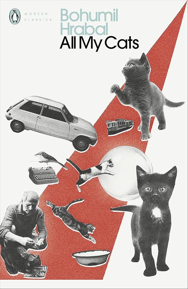All My Cats cover image