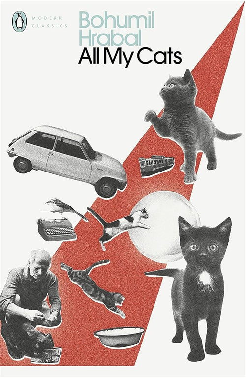 All My Cats cover image