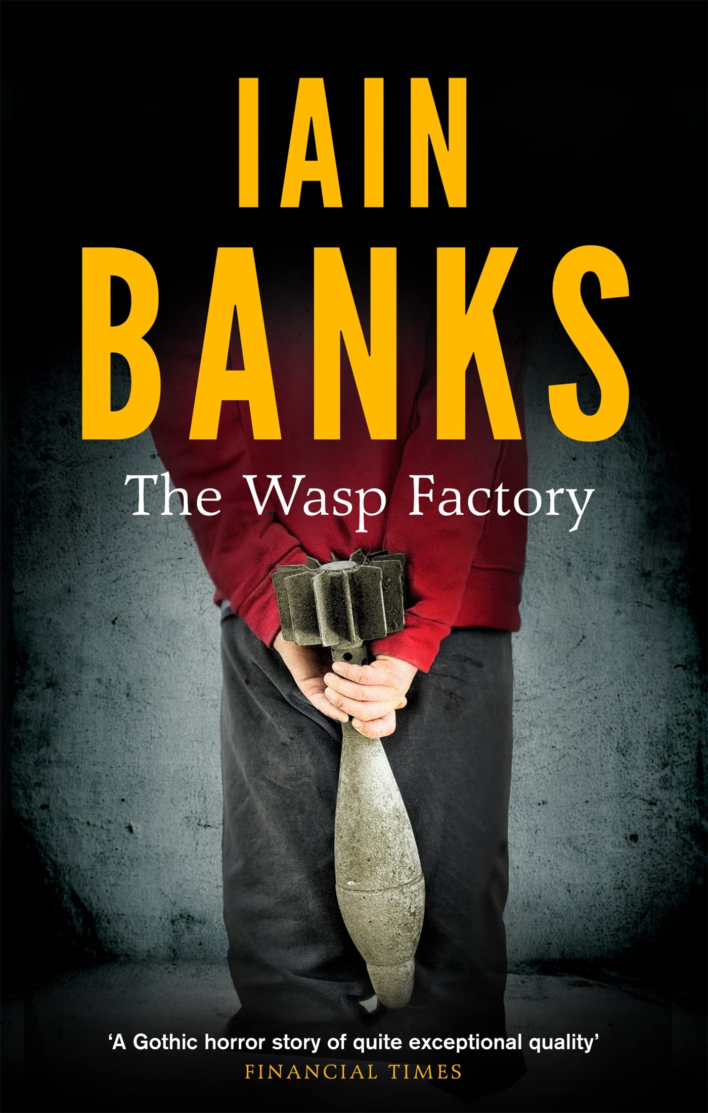 The Wasp Factory by Iain Banks - 9780349139180 - Book Cover