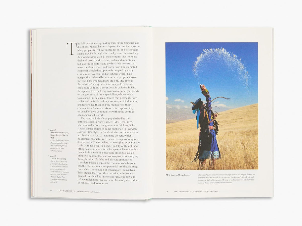 Shamans by Max Carocci, interior page, picture 6