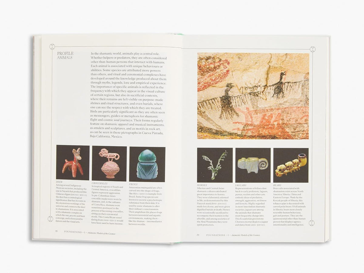 Shamans by Max Carocci, interior page, picture 7