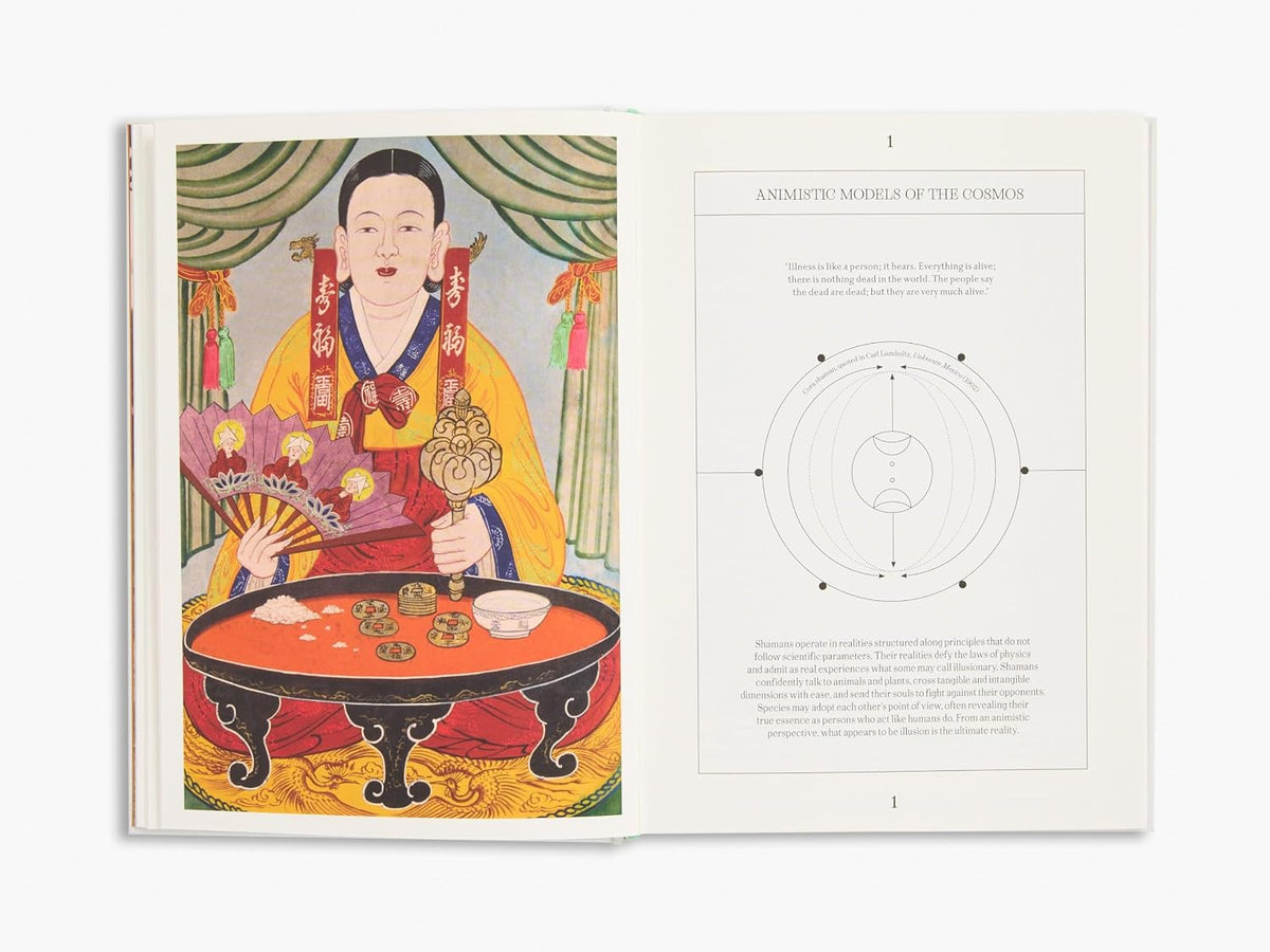Shamans by Max Carocci, interior page, picture 5