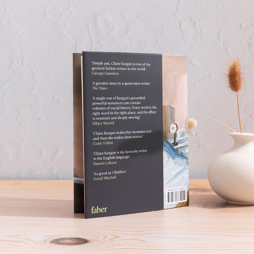 So Late in the Day by Claire Keegan, back cover