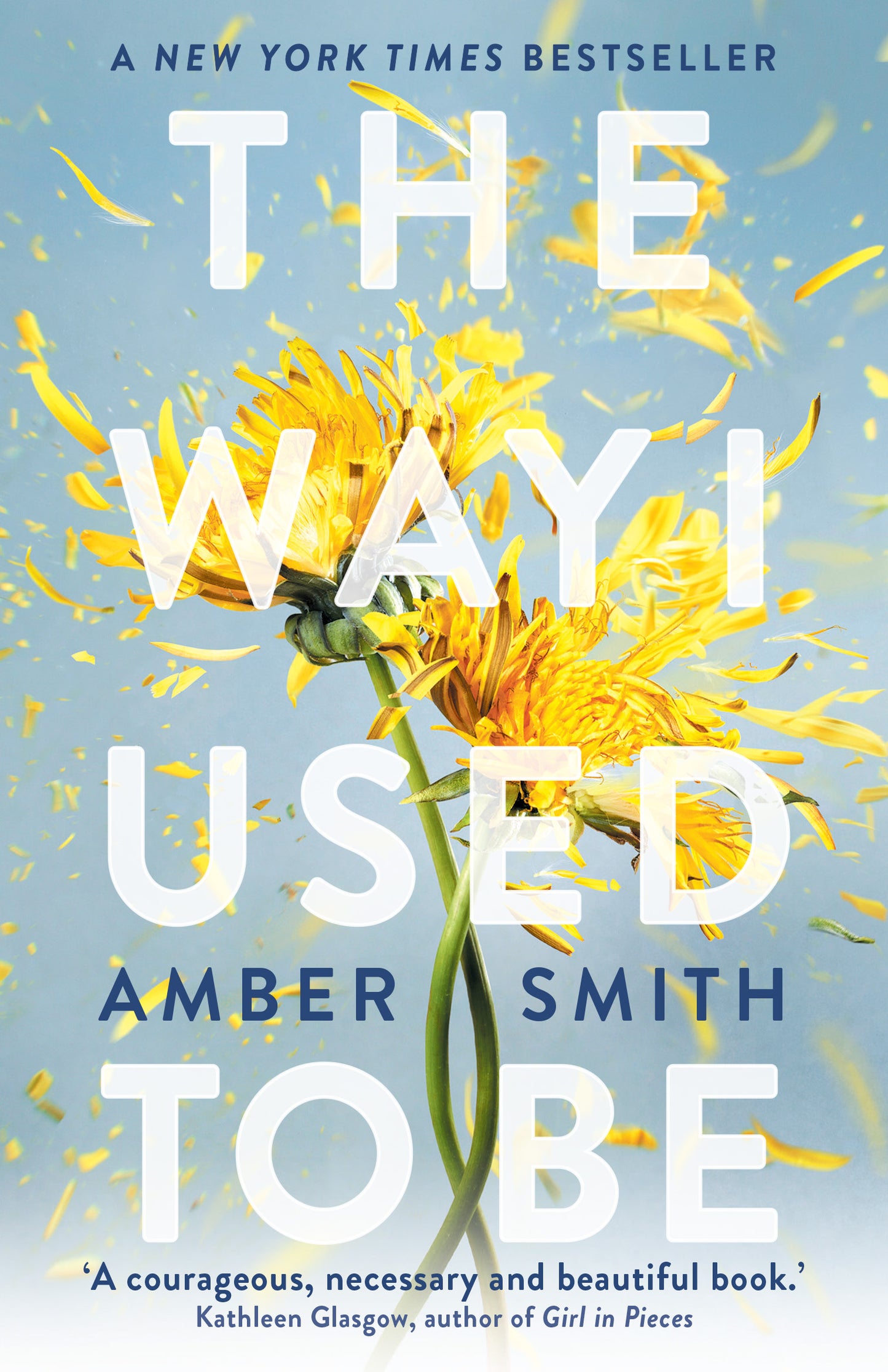 The Way I Used To Be by Amber Smith at BIBLIONEPAL: Bookstore